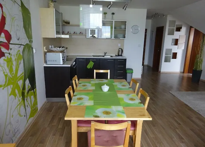 Sunny 韦尔卡鲁穆尼卡